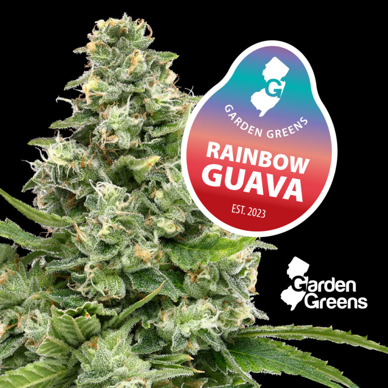 RainbowGuava_MenuAsset-1